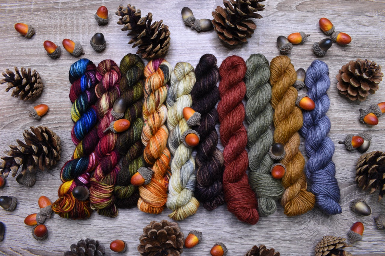 Mini skein set of 10 hand dyed yarn colours.