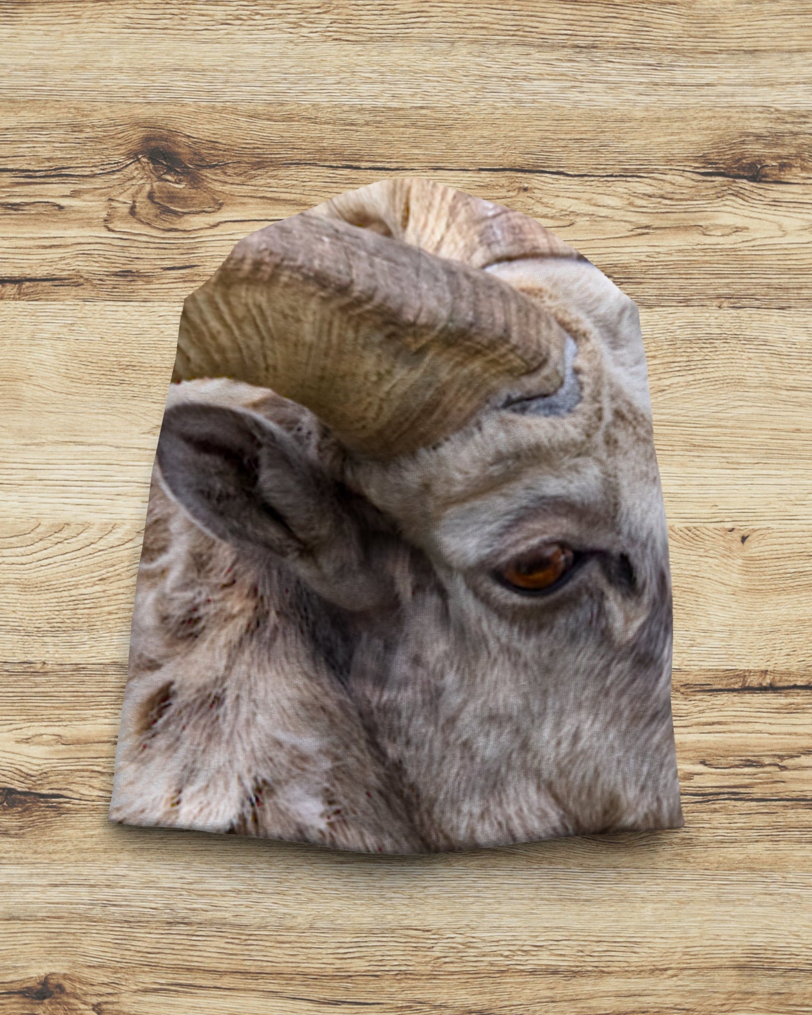 Slouchy beanie with image of bighorn sheep on a wood background