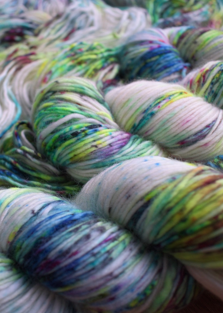 Multi colour speckled merino worsted hand dyed yarn.
